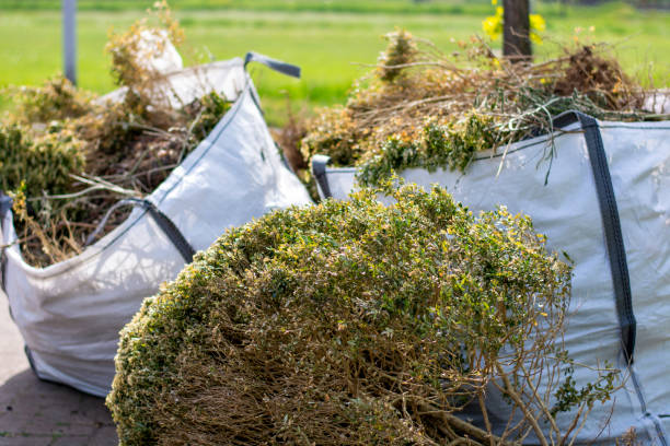 Best Office Junk Removal  in Armona, CA